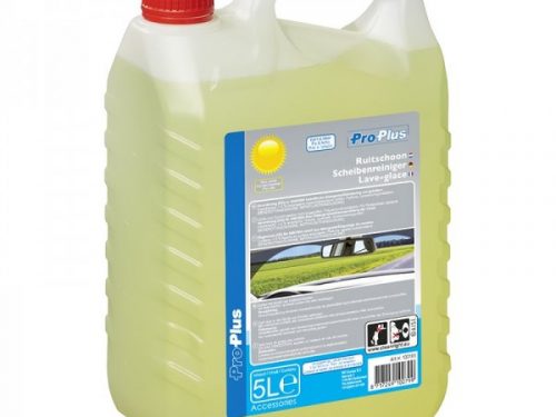 26992 scheibenreiniger sommer fertigmix 5 liter fensterscheibe wohnmobil 01WxBiOecQeOyGz 600x600