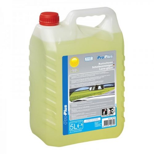 26992 scheibenreiniger sommer fertigmix 5 liter fensterscheibe wohnmobil 01WxBiOecQeOyGz 600x600